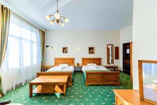 Гостевой дом Karlhof Себеш Двухместный номер Делюкс с 2 отдельными кроватями-8